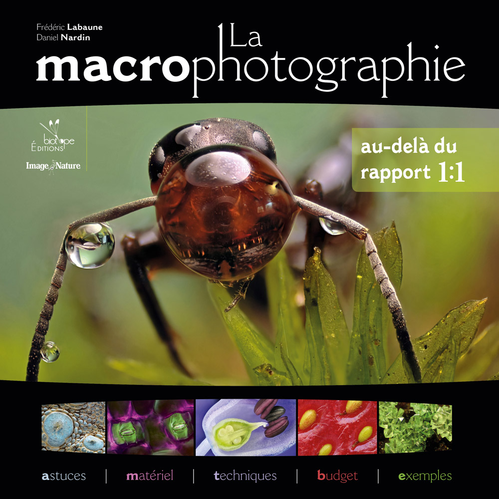 La macrophotographie - au-delà du rapport 1:1