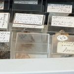 Rangement micromontures