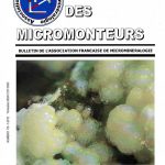 Le Cahier des micromonteurs / 1 – 2012 / 115
