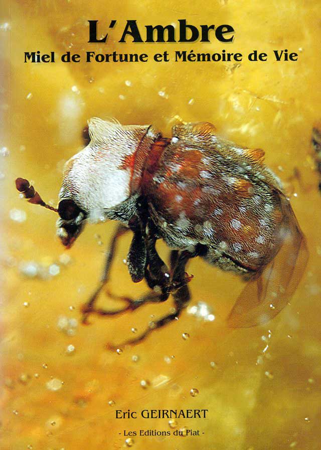 L’Ambre — Eric Geirnaert 1 L’Ambre — Eric Geirnaert