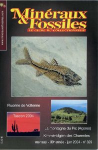 Minéraux et Fossiles — 329