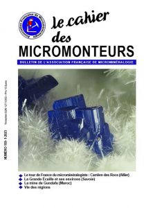 cahier des micromonteurs 159