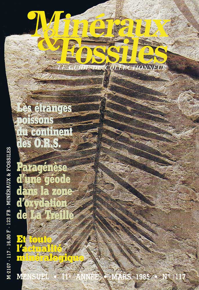 Minéraux et Fossiles — 117
