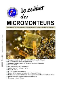Le Cahier des micromonteurs / 4 – 2025 / 170