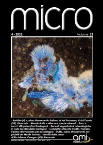 Micro — 2025 — 4