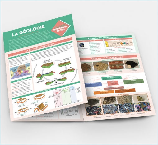 Des trucs pour les étudiants 1 Mémentos Flash Dunod