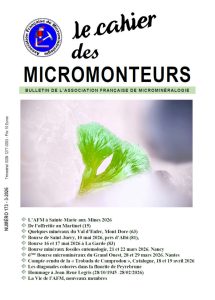 Le Cahier des micromonteurs / 3 – 2026 / 173