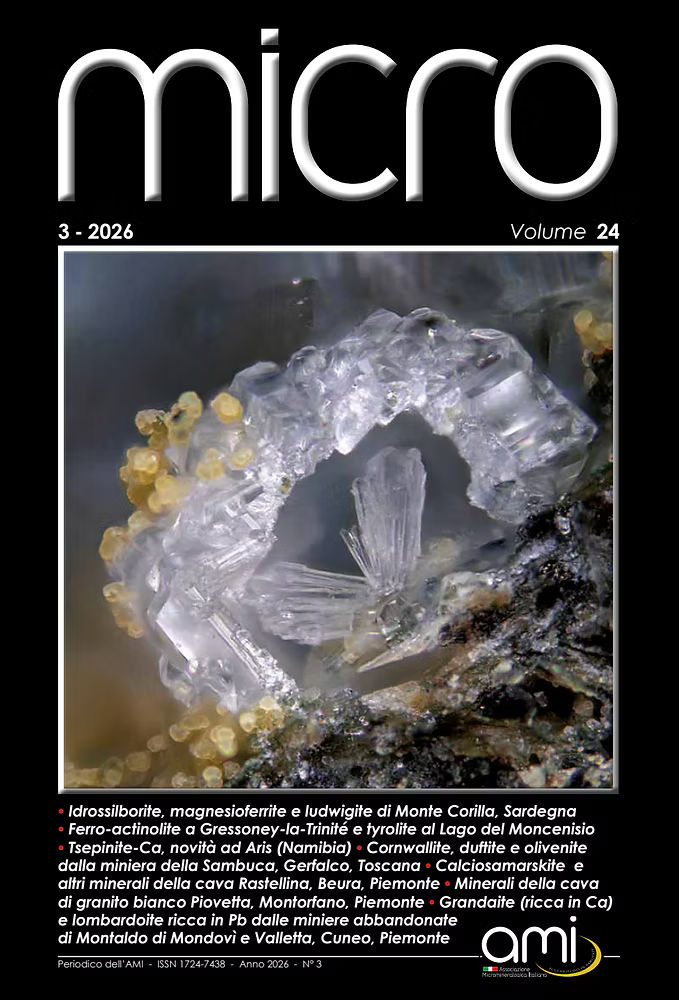 Micro — 2026 — volume 24 – numéro 3 1 Micro — 2026 — volume 24 – numéro 3