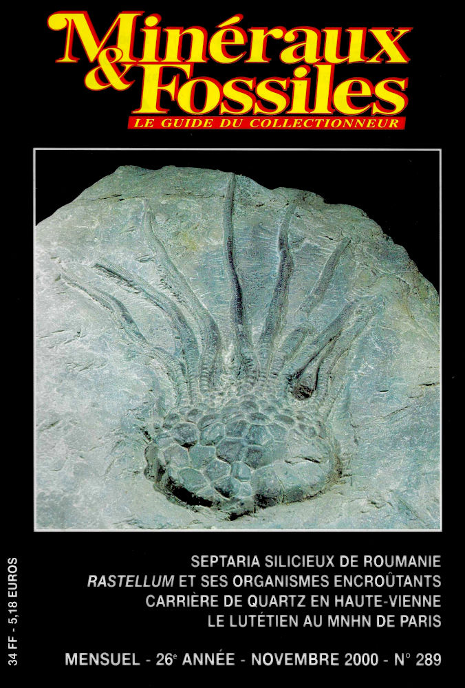 Minéraux et Fossiles — 289 1 Minéraux et Fossiles — 289