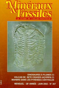 Minéraux & Fossiles 300 Minéraux et Fossiles — 307