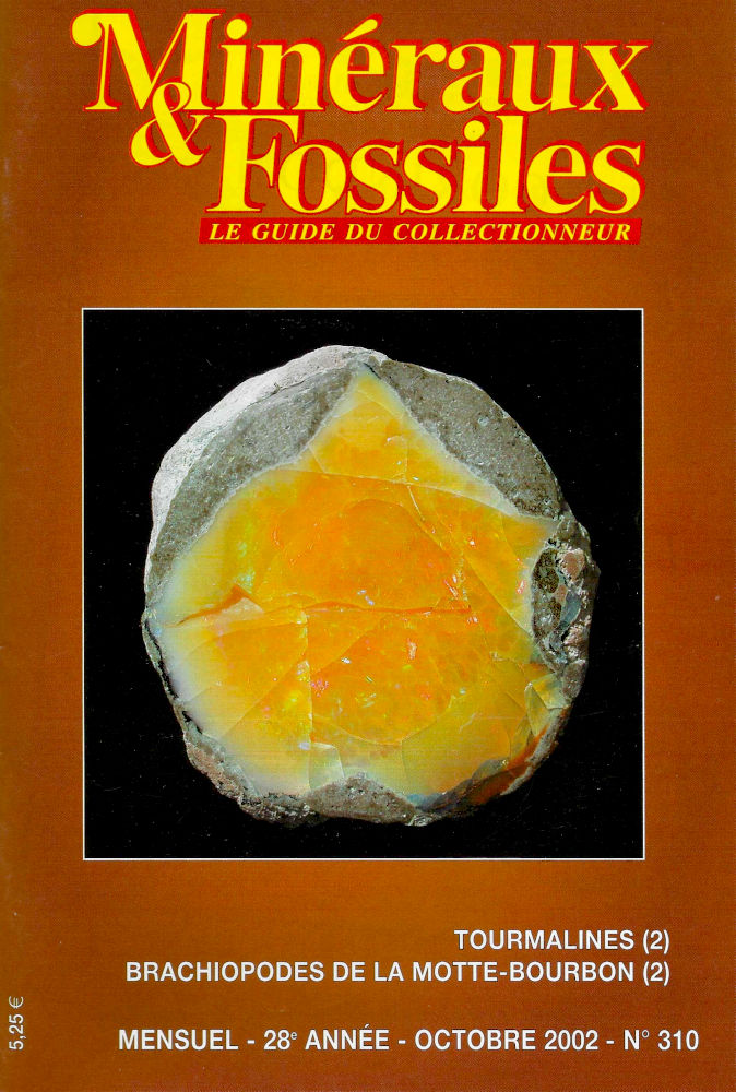 Minéraux et Fossiles — 310 1 Minéraux et Fossiles — 310